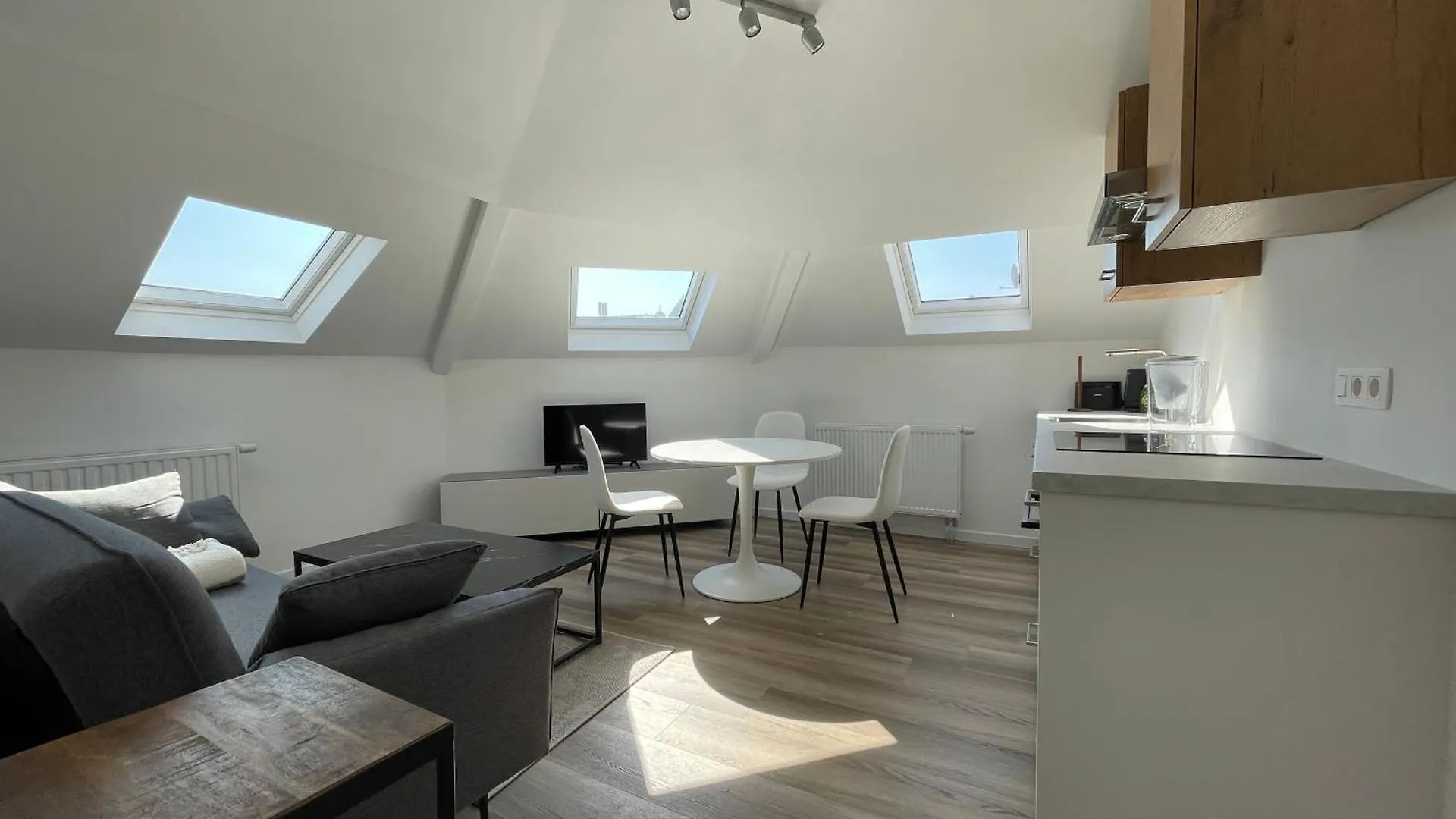 Midi Station 3 Apartment Brussels
